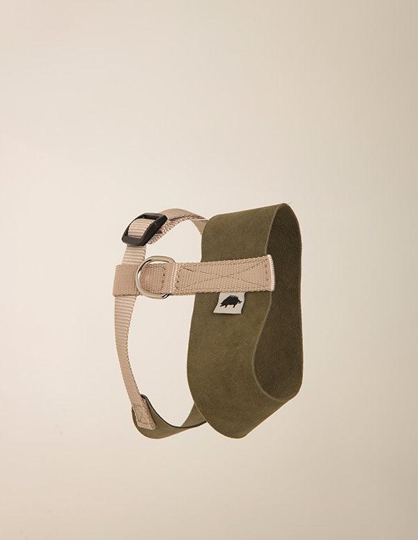 Arnes Essential Verde