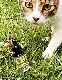 Gotas CBD Mascotas
